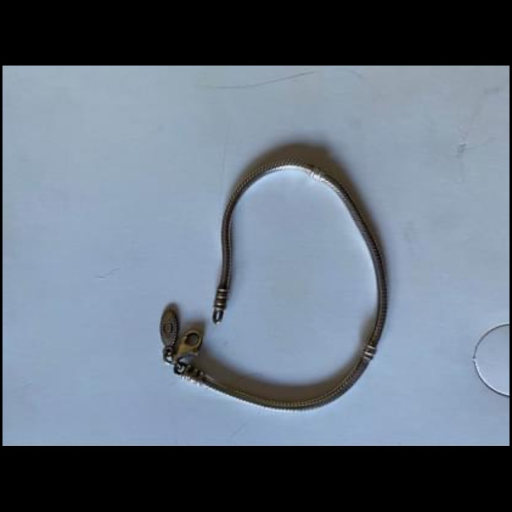 Pandora bracelet
